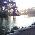 The Strawberry Hill pond
