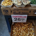 Chantarelles and other mushrooms
