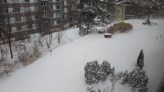 First week of snow in Helsinki: backyard