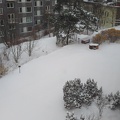 First week of snow in Helsinki: backyard