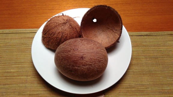 Full coconut, out of its shell