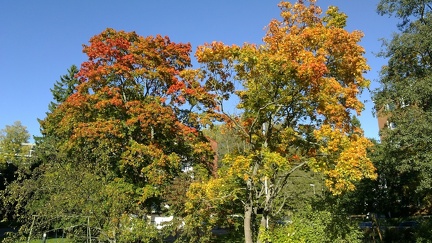 Autumn in Lauttasaari