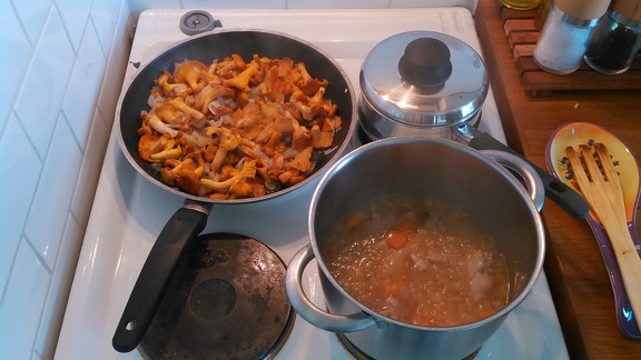 Cooking the chantarelle while we also cook chicken with beer
