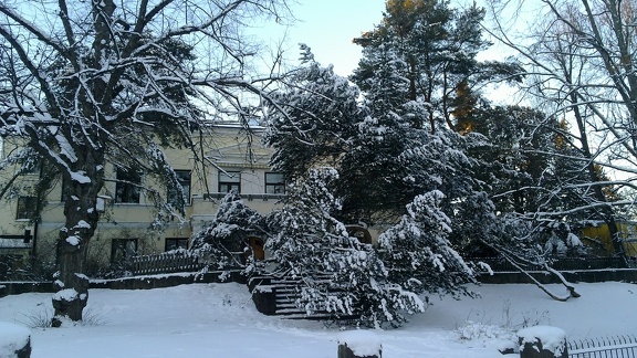 Snow in Lauttasaari 2015#1