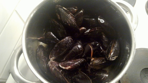 Boiling "moules frites"