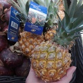 Mini pineapples!