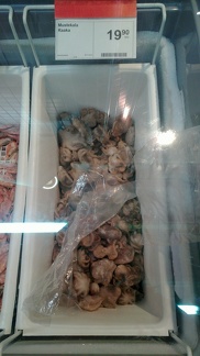 Small frozen octopus in K-Market Ruoholahti