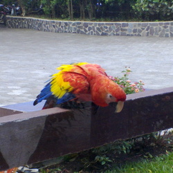 Holidays in Costa Rica, Feb-Mar 2013