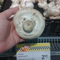 Jumbo size champignon