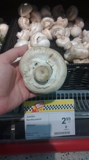 Jumbo size champignon