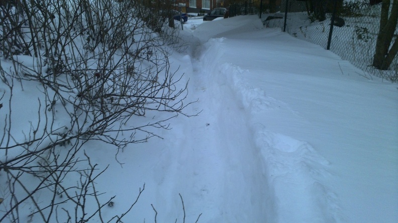 The snow path to home