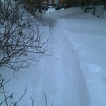 The snow path to home