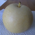 Apple pear, close distance