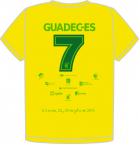 guadec-2010-brazil-back