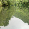 Still Eume river