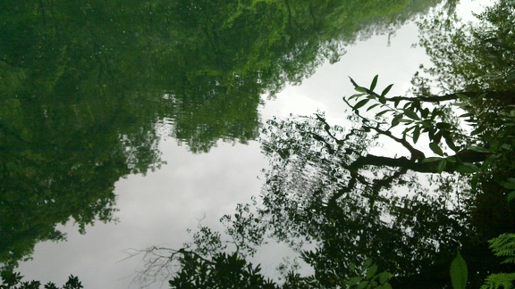 Reflections at Eume's water