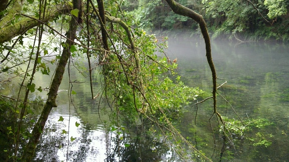 Mist at Eume river
