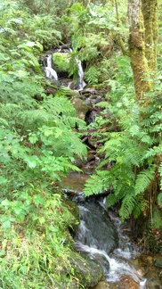 Side water stream at Fragas do Eume