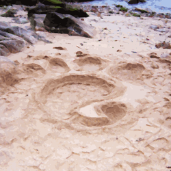 Sand GNOME creation process, A Coruña, Apr 2004